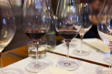 Eski şehir Montepulciano, Tuscany, İtalya 'da şarap tatma turu