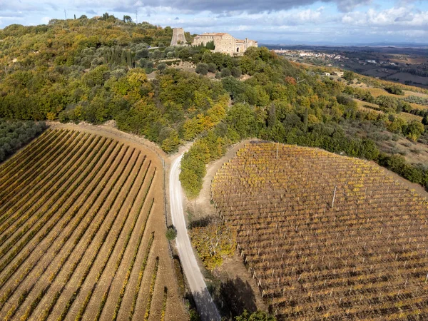 Vista Aérea Sobre Colinas Val Orcia Outono Colorido Vinhas Perto — Fotografia de Stock