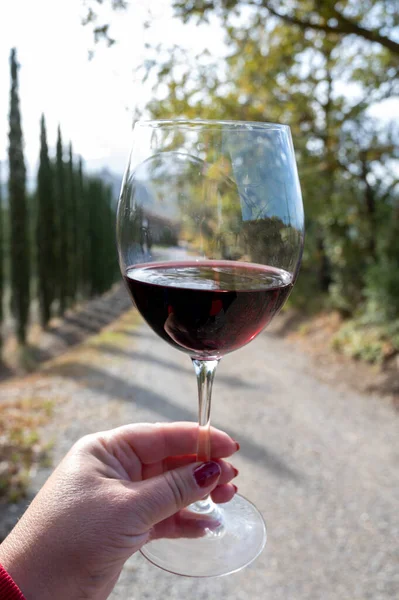 秋にイタリアのトスカーナ州モンペプルチャーノ近くで 典型的な丘陵地のブドウ畑とヒノキの木を背景にした赤いサンジョーゼのワインの試飲 — ストック写真