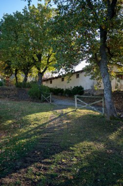 İtalya 'da Bagno Vignoni yakınlarındaki Val d' Orcia tepelerinde sabah yürüyüşü. Selvi ağaçları, üzüm bağları, ormanlar ve bulutlu sonbaharda sürülen tarlalarla Toskana manzarası.