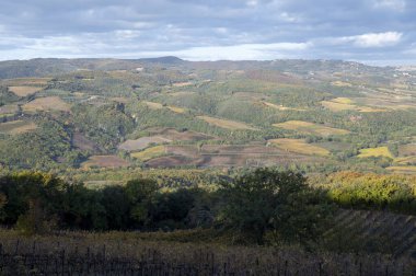 İtalya 'da Bagno Vignoni yakınlarındaki Val d' Orcia tepelerinde sabah yürüyüşü. Selvi ağaçları, üzüm bağları, ormanlar ve bulutlu sonbaharda sürülen tarlalarla Toskana manzarası.
