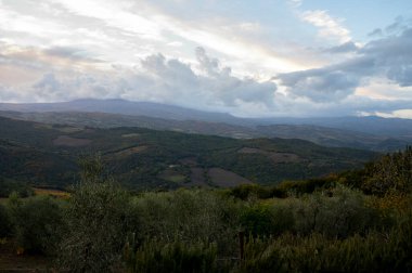 Val d 'Orcia tepelerinde Bagno Vignoni, Toskana, İtalya yakınlarında. Selvi ağaçları, üzüm bağları, ormanlar ve bulutlu sonbaharda sürülen tarlalarla Toskana manzarası.