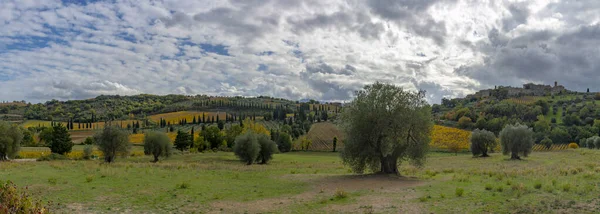 Abbazia Sant Antimo Montalcino Toskana Talya Yakınlarındaki Tepelerde Yürüyorum Selvi — Stok fotoğraf