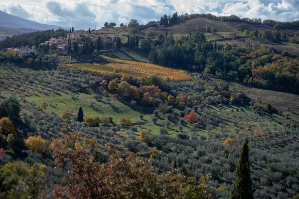 이탈리아 투스카니 카스틸리오네 드오르시아 발드오르시아 지대를 공중에서 수있다 가을에는 사이프러스 — 스톡 사진
