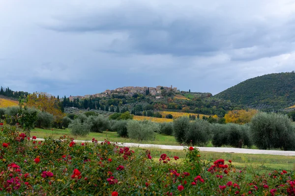 Wandern Auf Hügeln Der Nähe Von Abbazia Sant Antimo Montalcino — Stockfoto