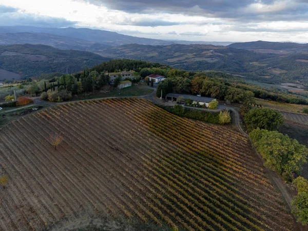 イタリアのトスカーナ州バグノ ヴィノーニ近くのヴァル ドルシアの丘の上に表示されます ヒノキの木 ブドウ畑 森林や曇りの秋に耕されたフィールドとトスカーナの風景 — ストック写真