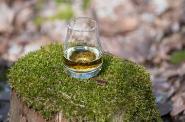 İskoçya 'da ormandaki yeşil yosunlarla kaplı eski kütüğün üzerinde viski bardakları tadıyorum.