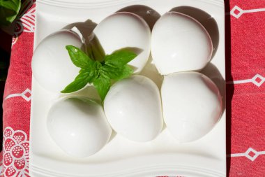 Peynir koleksiyonu, taze İtalyan yumuşak peynirli mozzarella di bufala campana taze fesleğenle servis edilir.