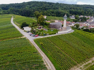 Deniz feneri manzarası ve yeşil pinot noir Grand cru üzüm bağları Montagne de Reims yakınlarındaki ünlü şampanya evleri, şampanya, Fransa 'da şarap yapımı