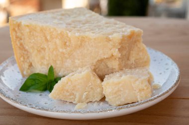 Peynir koleksiyonu, bir parça olgun peynir parmesan peyniri reggiano ve inek sütünden yapılmış İtalyan evleri.