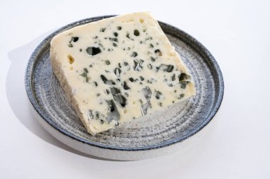 Peynir koleksiyonu, Rokfor-sur-Soulzon, Fransa 'dan yarı sert rokfor peyniri. Kapatın.