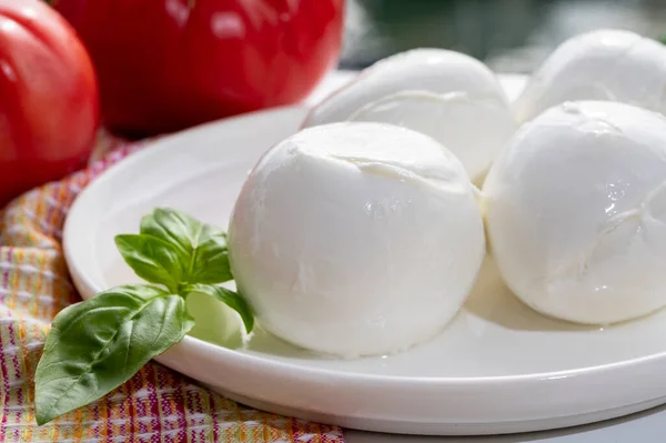 Ostsamling Bollar Färsk Italiensk Mjuk Ost Mozzarella Bufal Campana Serveras — Stockfoto