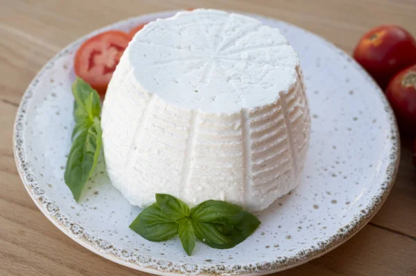 奶酪系列 白色意大利软质有机奶酪 里科塔与新鲜西红柿和罗勒一起食用 — 图库照片