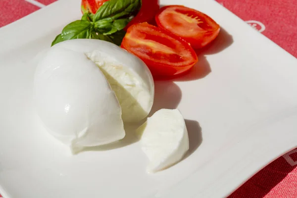 Kolekcja Serów Białe Kulki Świeżego Włoskiego Sera Miękkiego Mozzarella Bufala — Zdjęcie stockowe