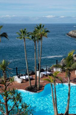 Atlantik Okyanusu kıyısında mavi yüzme havuzu ve palmiye ağaçları olan sahil kulübü, Costa Adeje, Tenerife, İspanya