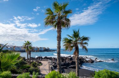 Playa Jardin 'in renkli manzarası, kışın Puerto de la Cruz, Tenerife, Kanarya adalarında palmiye ağaçları ve siyah lav kayaları