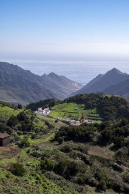 Anaga Ulusal Parkı 'nın yeşil dağlarının panoramik manzarası, Tenerife' nin kuzeyi, Kanarya Adaları, İspanya