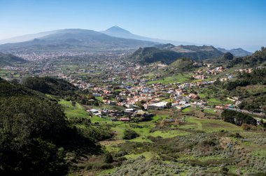 Anaga Ulusal Parkı 'nın yeşil dağlarının panoramik manzarası, Tenerife' nin kuzeyi, Kanarya Adaları, İspanya