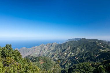 Anaga Ulusal Parkı 'nın yeşil dağlarının panoramik manzarası, Tenerife' nin kuzeyi, Kanarya Adaları, İspanya