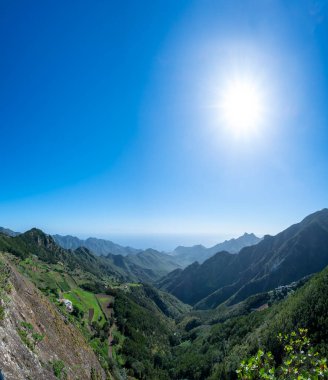 Anaga Ulusal Parkı 'nın yeşil dağlarının panoramik manzarası, Tenerife' nin kuzeyi, Kanarya Adaları, İspanya