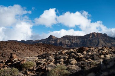 Tenerife 'deki Teide Ulusal Parkı' nın ziyareti ve volkanik manzaralar, Kanarya Adaları, İspanya