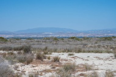 Limasol tuz gölüne yürümek, güneşte kurumuş çimenler ve ufukta Limasol manzarası.