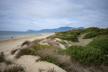 Aerial view on sandy dunes, beach and coastline of Tyrrhenian sea between two touristic towns Sperlonga and Terracina in Lazio, Italy in autumn