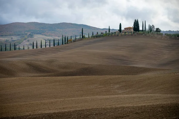 View Hills Val Orcia Tuscany Italy Tuscan Landscape Cypress Trees — стоковое фото
