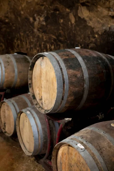 Caves Vin Souterraines Médiévales Avec Vieux Tonneaux Vin Rouge Pour — Photo