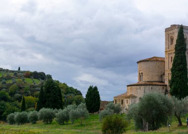 Abbazia Sant 'Antimo, Montalcino, Toskana, İtalya yakınlarındaki tepelerde yürüyorum. Selvi ağaçları, üzüm bağları, ormanlar ve bulutlu sonbaharda zeytin ağaçları olan Toskana manzarası.