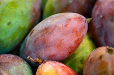 Taze sulu renkli mango marketteki kutuda tropikal meyveler