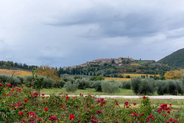 Walking Hills Abbazia Sant Antimo Montalcino Tuscany Italy Tuscan Landscape — Stock Photo, Image