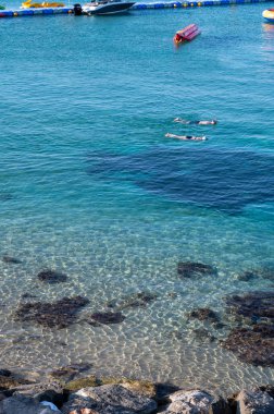 Kıbrıs Rum Kesimi 'nin Protaras kentindeki beyaz kumlu incir ağacı plajında Akdeniz' in berrak mavi suyu