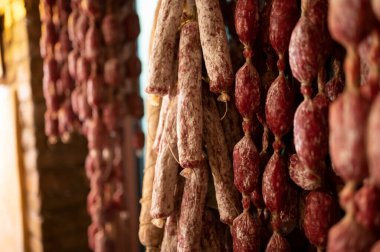 Parma, Emilia Romagna, İtalya 'daki kasapta asılı duran ev yapımı kurutulmuş salam sosisleri, et yemekleri arka planı.