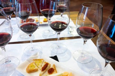 Eski şehir Montepulciano, Tuscany, İtalya 'da şarap tatma turu