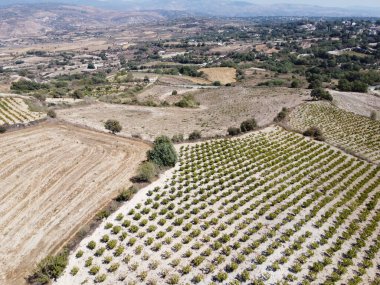 Troodos dağlarındaki hava manzarası, üzüm bağları, zeytinlikleri, köyleri ve beyaz yolları olan verimli vadi, Kıbrıs Rum Kesimi
