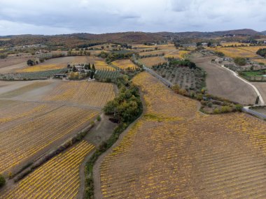 Şarap yakınlarındaki Sangiovese üzüm bağlarının üzerinde uçan drone 'lar Montalcino, Toskana kasabasını hasattan sonra sıra sıra üzüm bitkileri, İtalya