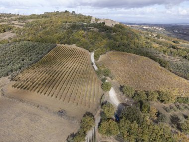 Val d 'Orcia tepelerinde hava manzarası, şarap yakınındaki üzüm bağlarında renkli sonbahar şehri Montalcino, Toskana, hasattan sonra sıra sıra üzüm bitkileri, İtalya