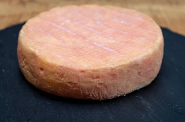 Munster gerome Fransız peyniri, ince bir tadı olan sert kokulu yumuşak peynir, öncelikle Vosges dağlarında üretilen sütten yapılıyor, yakın plan.