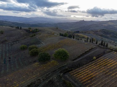 Val d 'Orcia tepelerinde Bagno Vignoni, Toskana, İtalya yakınlarında. Selvi ağaçları, üzüm bağları, ormanlar ve bulutlu sonbaharda sürülen tarlalarla Toskana manzarası.