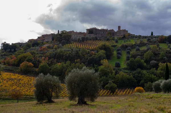 Walking Hills Castelnuovo Dell Abate Montalcino Tuscany Italy Tuscan Landscape — Stock Fotó