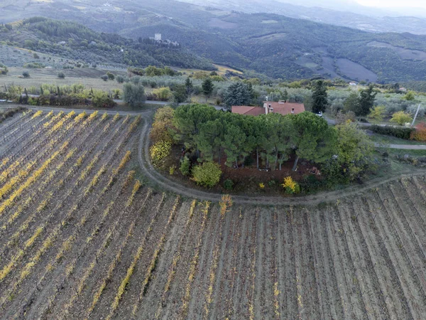 ヴァル ダルシアの丘の上の空中ビュー ワイン造りの町モンタルチーノの近くのブドウ畑のカラフルな秋 トスカーナ州 収穫後のブドウの植物の行 イタリア — ストック写真