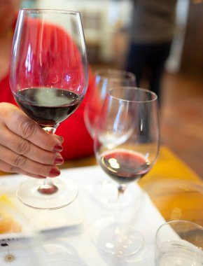 Eski şehir Montepulciano, Tuscany, İtalya 'da şarap tatma turu