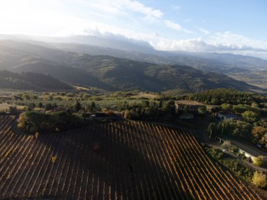 Val d 'Orcia tepelerinde hava manzarası, şarap yakınındaki üzüm bağlarında renkli sonbahar şehri Montalcino, Toskana, hasattan sonra sıra sıra üzüm bitkileri, İtalya