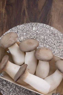 Lezzetli vejetaryen yemekleri, taze organik Pleurotus eryngii kral trompet mantarları