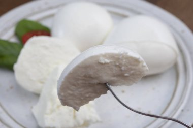 Taze İtalyan peyniri mozzarella di buffalo şok tabancası.