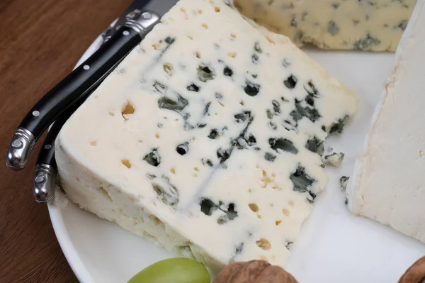 来自勃艮第的法国奶酪 蓝色羊奶奶酪 罗克福奶酪和德莱丝 布哥涅奶牛乳酪在试板上的味道 — 图库照片