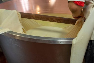 Parma, Reggio-Emilia, İtalya 'daki küçük bir peynir çiftliğinde parmesanlı parmesan peynirinin inek sütlü tekerleklerinden yapılan geleneksel bir işlem.