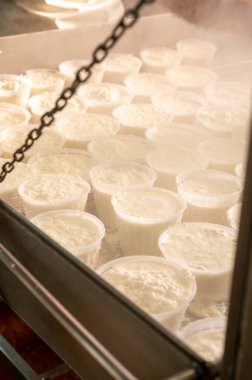 İtalya 'nın Parma kentindeki küçük peynir çiftliğinde sabahın erken saatlerinde taze, yumuşak ricotta peyniri yapma süreci.