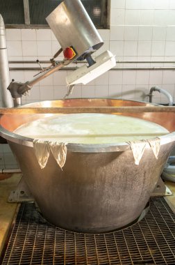 Parma, Reggio-Emilia, İtalya 'daki küçük peynir tarlasında parmegiano-reggiano parmesan peyniri yapmak için geleneksel bir yöntem.